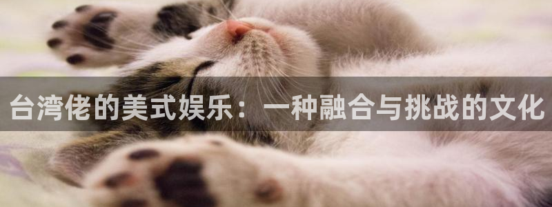 500彩票网凯捷注册：台湾佬的美式娱乐：一种融合与挑战的文化