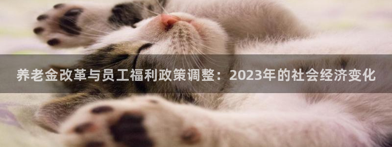 500彩票网体育网页版入口：养老金改革与员工福利政策调整：2023年的社会经济变化