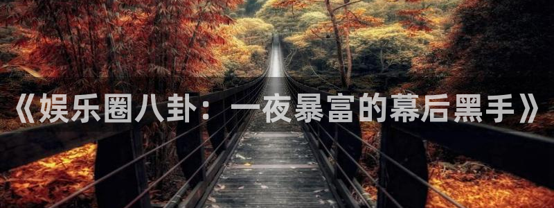 500彩票网体育3：《娱乐圈八卦：一夜暴富的幕后黑手》