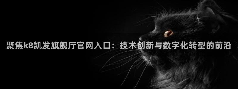 500彩票网体育1招商：聚焦k8凯发旗舰厅官网入口：技术创新与数字化转型的前沿
