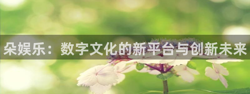 500彩票网3平台注册：朵娱乐：数字文化的新平台与创新未来