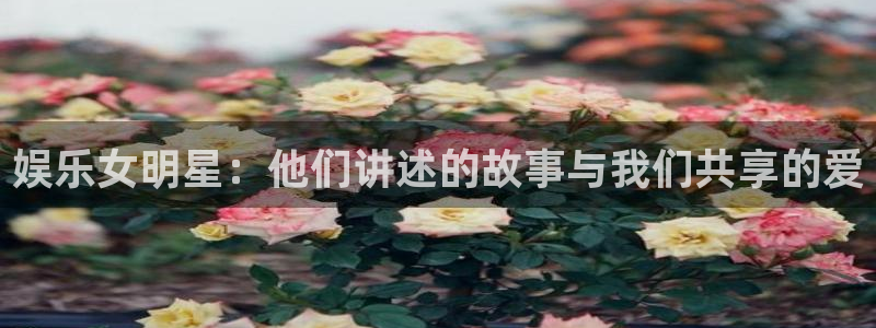 成都500彩票网电子有限公司：娱乐女明星：他们讲述的故事与我们共享的爱