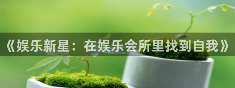 500彩票网体育注册：《娱乐新星：在娱乐会所里找到自我》