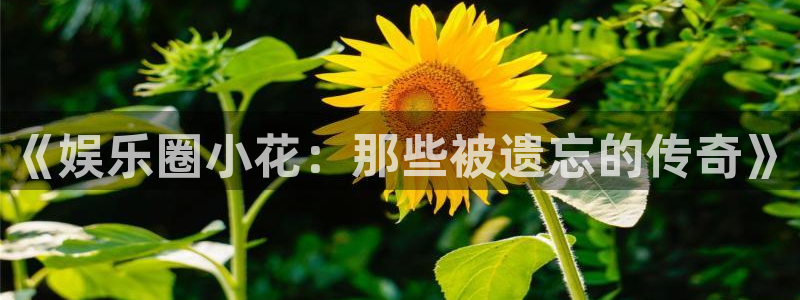 500彩票网体育论坛