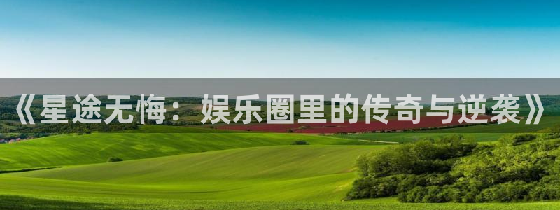 成都500彩票网电子有限公司：《星途无悔：娱乐圈里的传奇与逆袭》