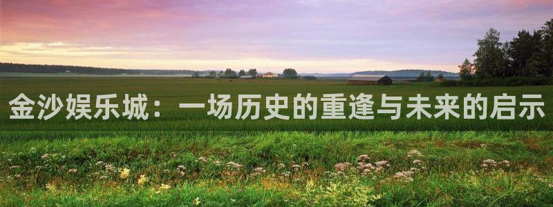 上海500彩票网汽车电子有限公司：金沙娱乐城：一场历史的重逢与未来的启示