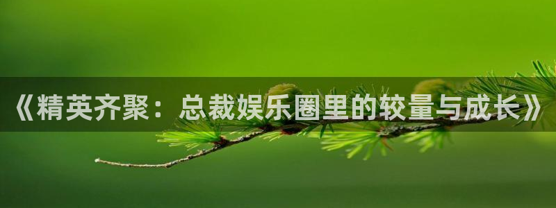 500彩票网3代理：《精英齐聚：总裁娱乐圈里的较量与成长》