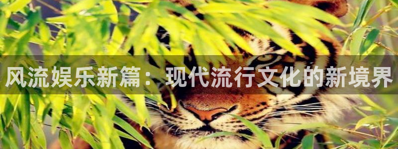 500彩票网体育app下载：风流娱乐新篇：现代流行文化的新境界