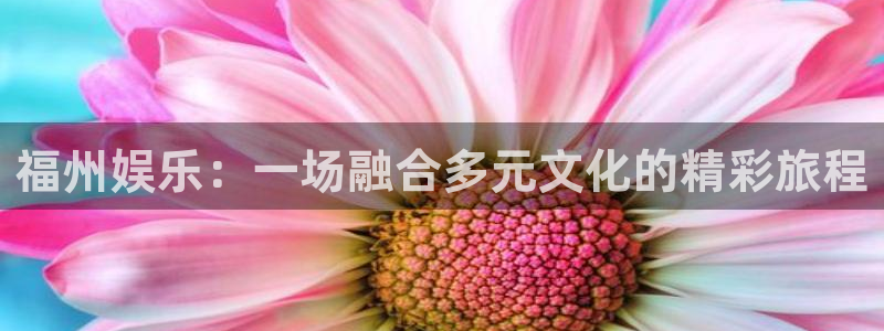 佛山市南海500彩票网机电仪器有限公司：福州娱乐：一场融合多元文化的精彩旅程