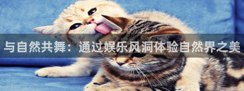 500彩票网vk：与自然共舞：通过娱乐风洞体验自然界之美