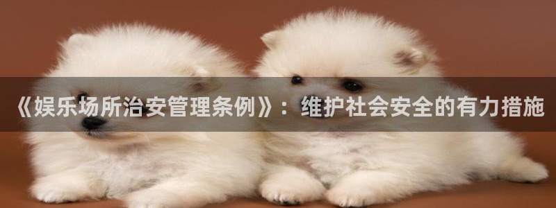500彩票网平台注册：《娱乐场所治安管理条例》：维护社会安全的有力措施