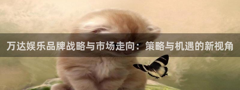 500彩票网平台总代理：万达娱乐品牌战略与市场走向：策略与机遇的新视角