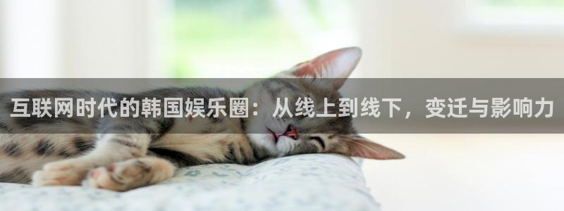 500彩票网体育4：互联网时代的韩国娱乐圈：从线上到线下，变迁与影响力