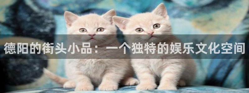 500彩票网体育3：德阳的街头小品：一个独特的娱乐文化空间