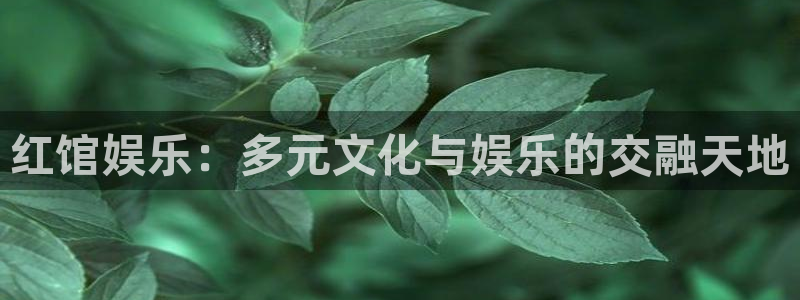 500彩票网平台注册：红馆娱乐：多元文化与娱乐的交融天地